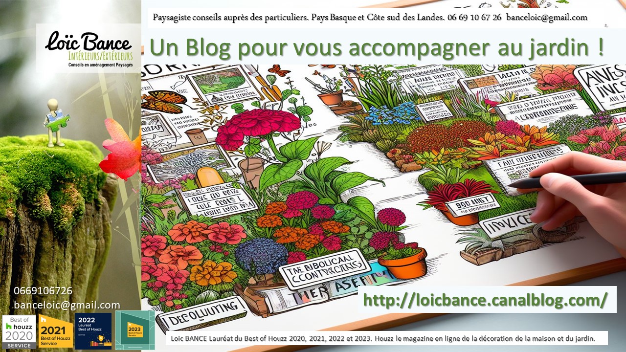 Un blog dédié au jardinage par paysagiste Ahetze.