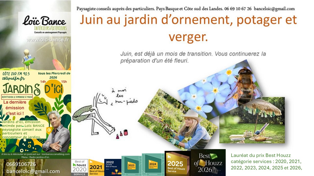 Juin au jardin d'ornement, potager et verger. Paysagiste Ahetze 
