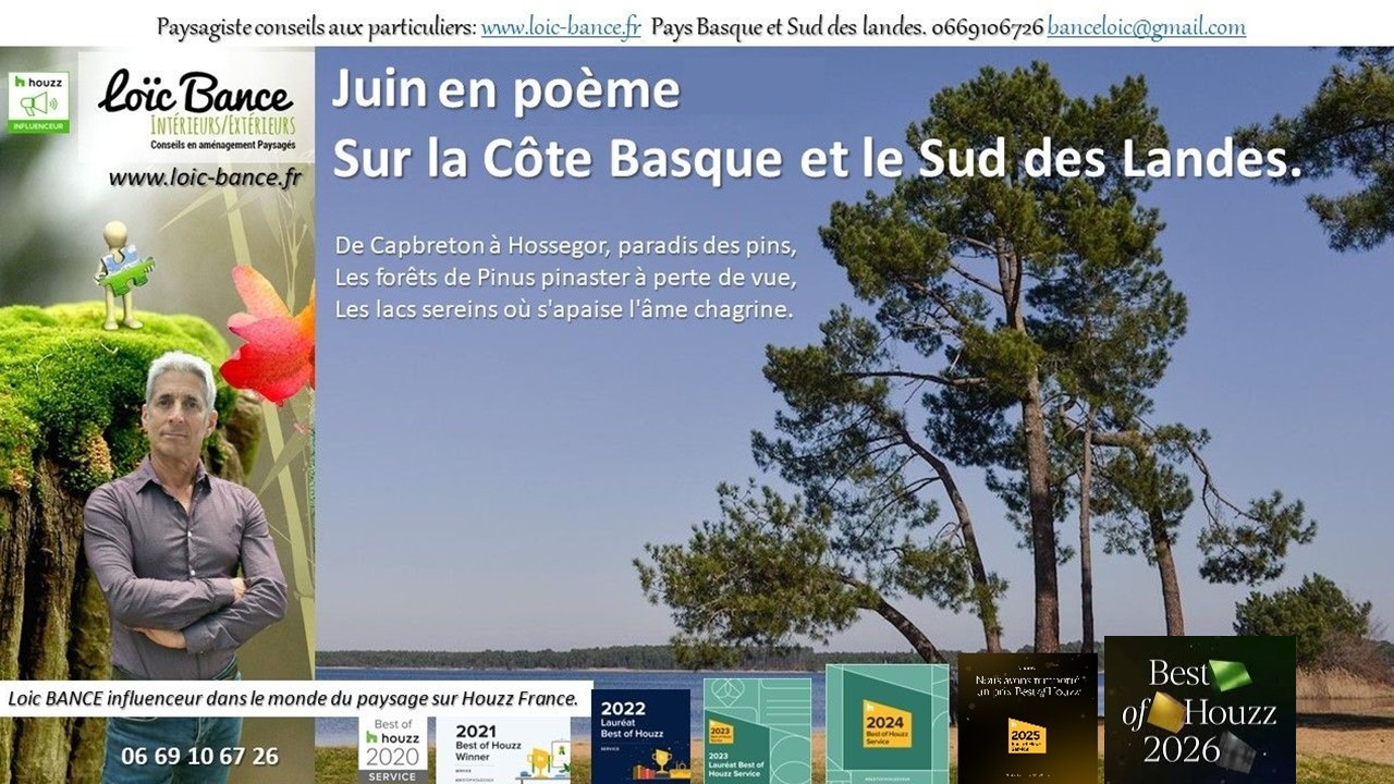 Juin en poème sur la Côte Basco-Landaise. Paysagiste Ahetze