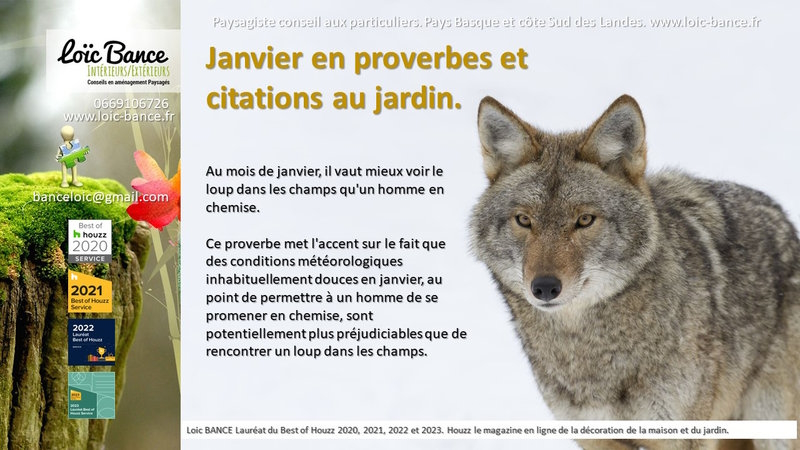 Jardins, Janvier, Pays Basque, Landes, Paysagiste.; Proverbes; Citations; Jardins d'ici; Paysages; Aménagements paysagers; Landes; Paysagiste Landes; Pays Basque; Paysagiste Pays Basque; Concepteur de jardins; Ahetze; Paysagiste Ahetze; Anglet; Paysagiste Anglet; Arbonne; Paysagiste Arbonne; Arcangues; Paysagiste Arcangues; Bayonne; Paysagiste Bayonne; Biarritz; Paysagiste Biarritz; Capbreton; Paysagiste Capbreton; Guéthary; Paysagiste Guéthary; Hossegor; Paysagiste Hossegor; Saint Jean de Luz; Paysagiste Saint Jean de Luz; Seignosse; Paysagiste Seignosse; Tosse; Paysagiste Tosse; Dax; Paysagiste Dax; Mont de Marsan 40000; Paysagiste Mont de Marsan; Paysagiste Brassempouy; Brassempouy 40330; Paysagiste Ahaxe-Alciette-BascassanAhaxe-Alciette-Bascassan 64220; Saint-Pandelon 40180; Paysagiste Saint-Pandelon; Ascain 64310; Paysagiste Ascain; Amou 40330; Paysagiste Amou; Louhossoa 64250; Paysagiste Louhossoa; Tarnos 40220; Paysagiste TARNOS; Ondres; Paysagiste Ondres; Rivière-Saas-et-Gourby 40180; Paysagiste Rivière-Saas-et-Gourby; Bénesse-Maremne 40230; Paysagiste Bénesse Maremne; 