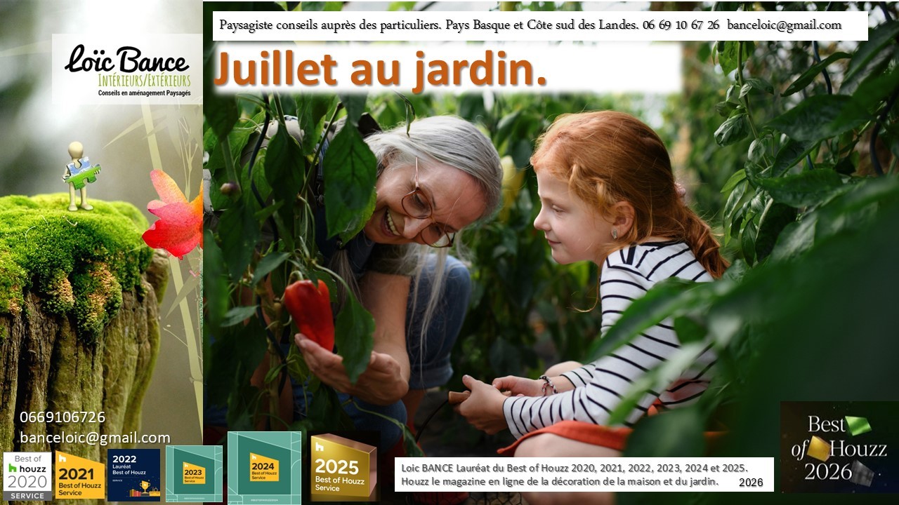 Ahetze paysage Juillet au jardin