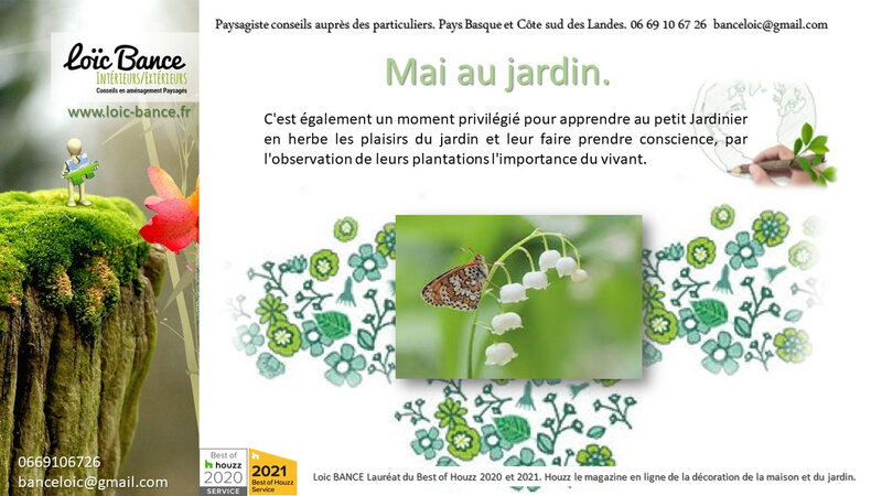 Les travaux du jardin en mai